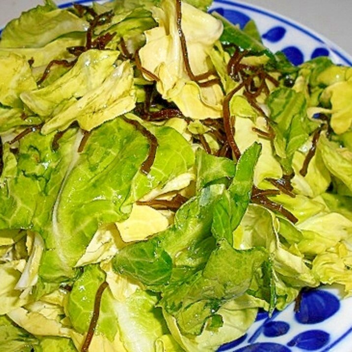 これは簡単!塩キャベツ昆布入り
